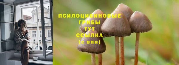 мдма Бородино